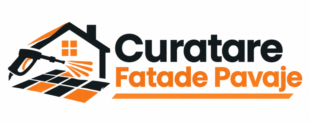 curatare fatade Buzau
